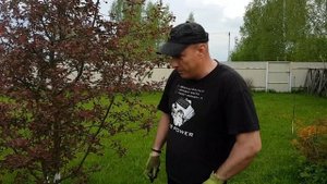 БОРЬБА С КРОТАМИ И ЗЕМЛЕРОЙКАМИ НА ДАЧЕ. Продолжение.
