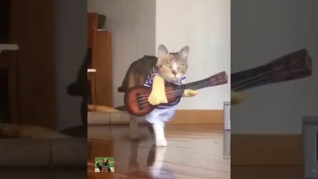 Музыкальная пауза