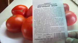 ТОМАТ ВЕЧНЫЙ ЗОВ. ДЕГУСТАЦИЯ. Ольга Чернова.