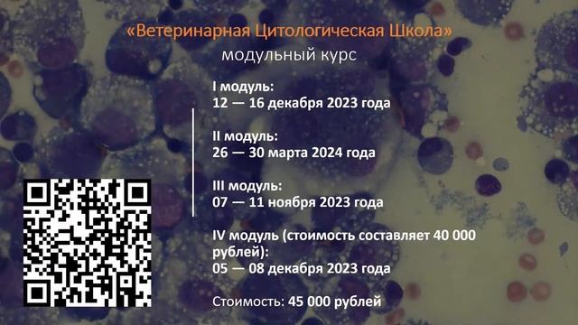 Мастоцитома, хирургическое лечение. Фибросаркома, хирургическое лечение