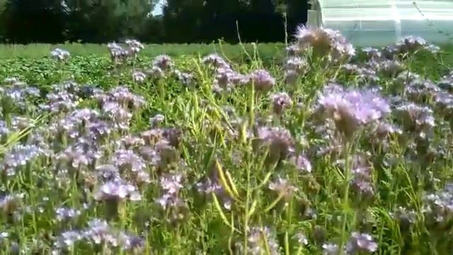 Москва не сразу строилась. Немного из прошлого. смотреть онлайн