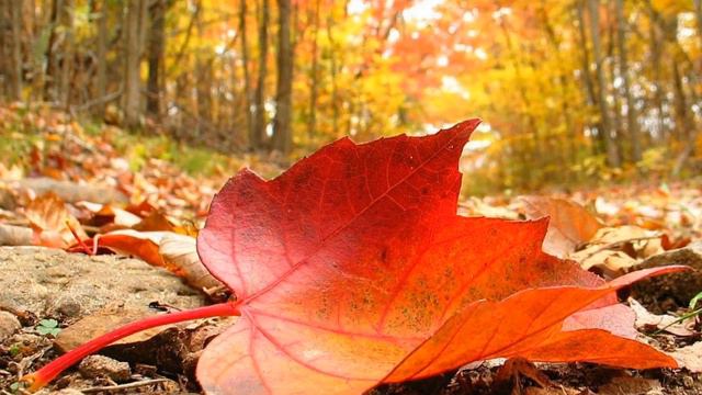 13 ҚЫРКҮЙЕККЕ АРНАЛҒАН АУА РАЙЫ БОЛЖАМЫ ЖАРИЯЛАНДЫ. смотреть онлайн