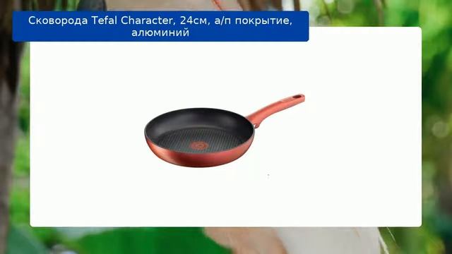Сковорода Tefal Character, 24см, а/п покрытие, алюминий смотреть онлайн