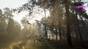 Жена годами кувыркалась с любовником… Но... | Удивительные истории Измены Жены - Драмы Судьбы