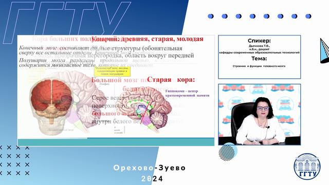 Строение и функции головного мозга. Дьячкова Т.В.