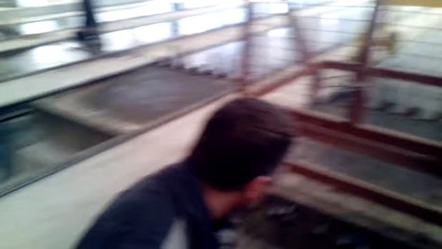 Завод ЖБИ ОАО "Домостроитель" смотреть онлайн