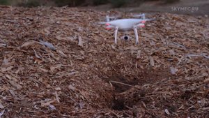 DJI Phantom 4 Pro. Первый вылет