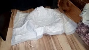 Начинаются роды у собаки.