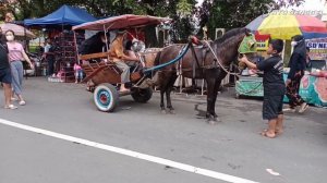 Risa Healing Naik Kuda Dokar Purwokerto ~ Azha Naik Delman Lagu HEY TAYO ~ kuda delman ~ kuda ~hors