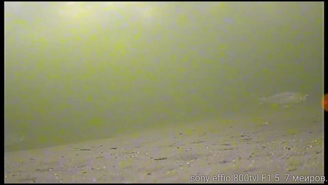 Sony effio-e 800tvl смотреть онлайн