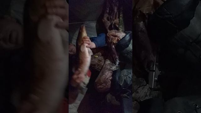 минское море 30.12.2022 смотреть онлайн