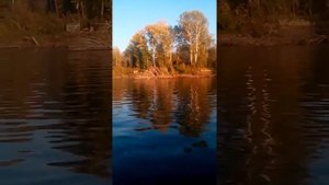 Вятбот 430м мотор тока 15