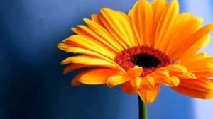 С днем рождения,Тамара.