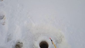 Еду на рыбалку на мотобуксировщике.