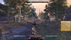 Elder Scrolls Online - В Вернимский лес