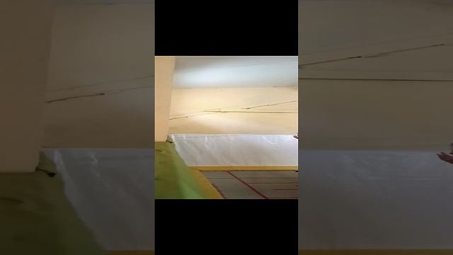 павлин