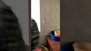 Экскурсия в прачечную на уроке СБО.    Excursion to the laundry room at the SBO lesson