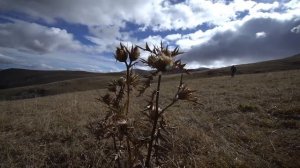 "Охота и Рыбалка": "Суббота с Сергеем Астаховым"