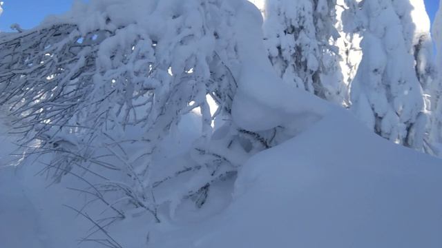 Продолжение истории про покорение горы Полюд. Часть 3. смотреть онлайн