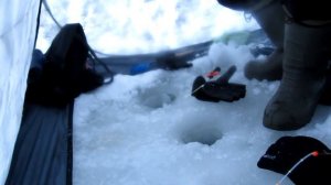 Рыбалка 2019 в ГЛУХОЗИМЬЕ!!! Ловля ельца на Томи в Ярском. Интересная рыбалка получилась.