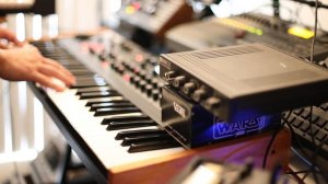 "Song On The Beach" Arcade Fire Cover (Grand Piano Module/ Prophet Rev 2/ Hall of Fame Reverb)