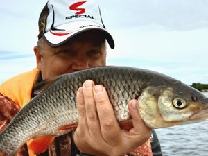 Волга в черте города. Щуки.окуни и король переката голавль!.