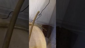 про силиконовый шланг . и для замены шланга на форсунки омывателя стекла
