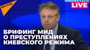 Брифинг МИД: какие преступления киевский режим совершил против мирного населения?