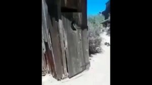 Самбади 1 час