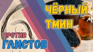 Поможет ли чёрный тмин от паразитов? Официальные исследования