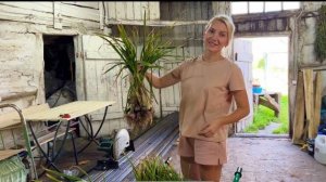 КОСИМ/СЕЕМ/УБИРАЕМ НА 30 СОТКАХ В ДЕРЕВНЕ/УРОЖАЙ ЧЕСНОКА/ВАРЕНЬЕ ИЗ КРЫЖОВНИКА И РАКИ