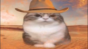 стонать ковбой🤠 #мем