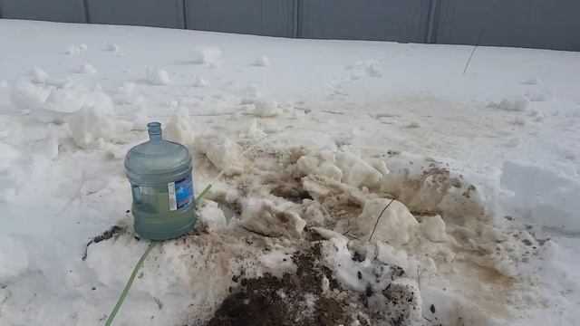 абиссинская скважина днп логиново, городской округ Павловский Посад