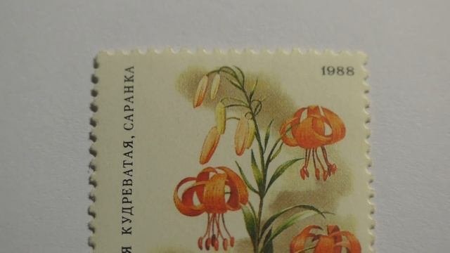 Почтовая марка. Почта СССР. 1988 г. Лилия кудреватая, саранка