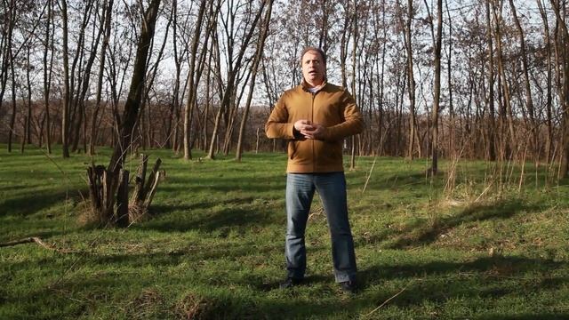 Как восстановить здоровье лёгких  Секреты Цигун