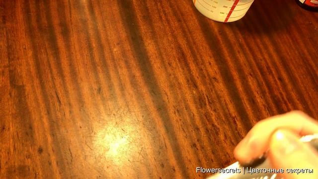 РАЗБУДИТЕ ЗАМИОКУЛЬКАС И ОН БЕШЕНО ПОЙДЕТ В РОСТ, СТИМУЛИРУЕМ АКТИВНЫЙ РОСТ КЛУБНЕЙ И ЛИСТВЫ! смотреть онлайн