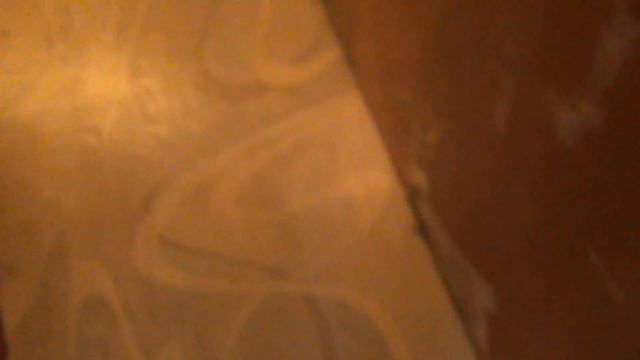 Рассада помидор на 22 мая 2016 смотреть онлайн