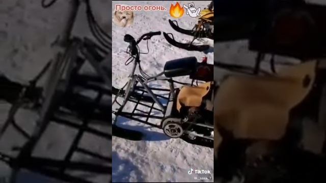 Россйский снегоход сравниваем с Канадским. смотреть онлайн