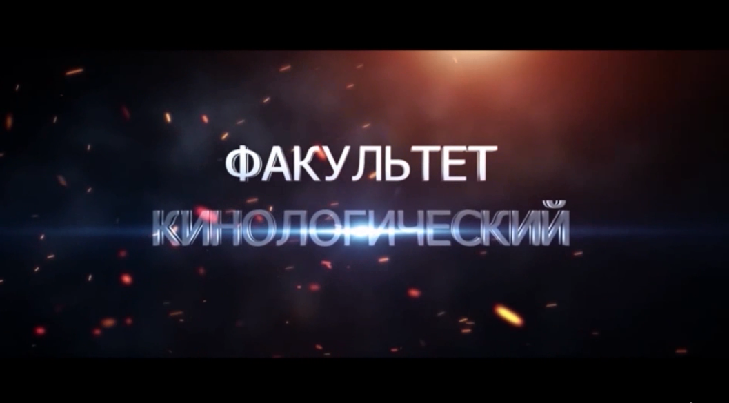 Факультет кинологический ПВИ ВНГ РФ