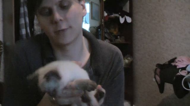 Матрёна - её самое первое видео! смотреть онлайн