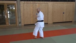 USHIRO GERI - karate back kick - TEAM KI