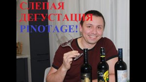 Слепая дегустация Пинотажей ЮАР! Есть ли альтернатива Barista Pinotage?