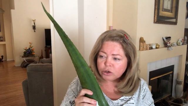 ?Пробуем волосатые яйца (РАМБУТАН, RAMBUTAN)...еле уговорила . смотреть онлайн