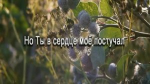 Я любви не достоин Твоей