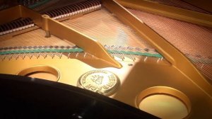 Weinbach (Petrof) 190 6'3" Grand Piano.mov