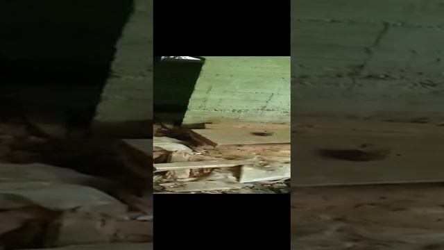 Заброшка маргинальной молодежи в Новороссийске