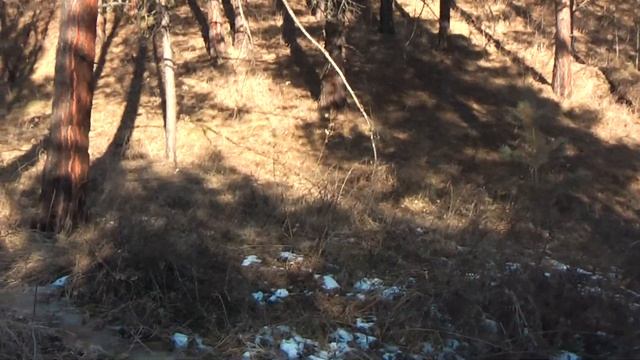 Какие знания вредят развитию? смотреть онлайн