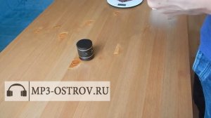 Bluetooth вибродинамик 10 Вт Adin B1BT+