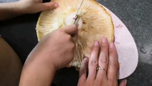 Мариновка грибов для начинающих/ГРУЗДИ/Пошаговая инструкция/Готовим вместе!