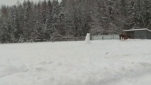 Зимние каникулы на базе отдыха "Головинка"